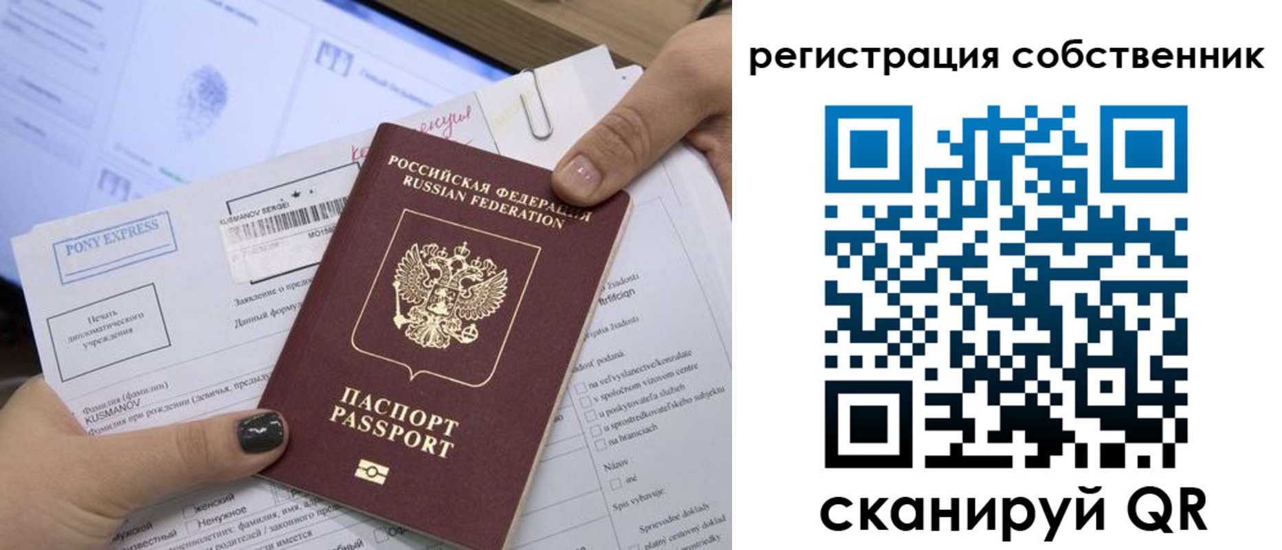 прописка поиск в Ржеве